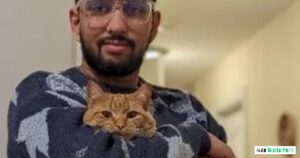 Anshumat Srivastava Biography