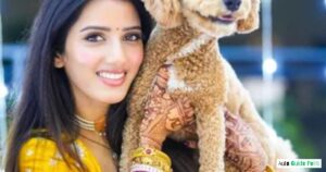 Education & Qualifications