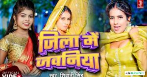 Social Media and Online Presence